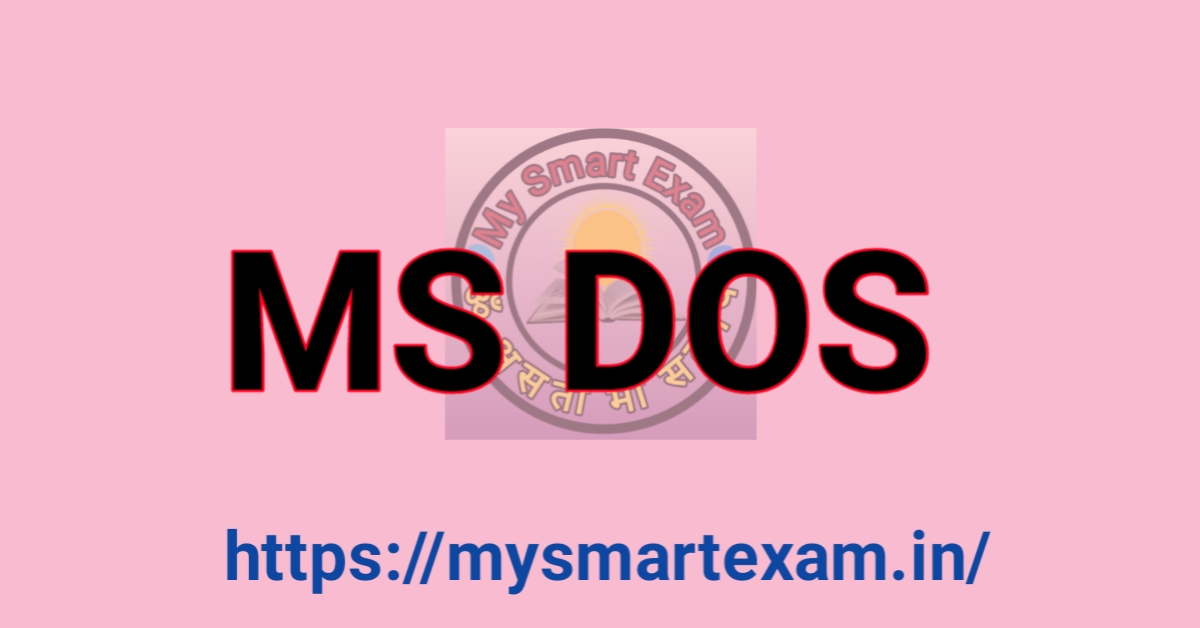 MS DOS